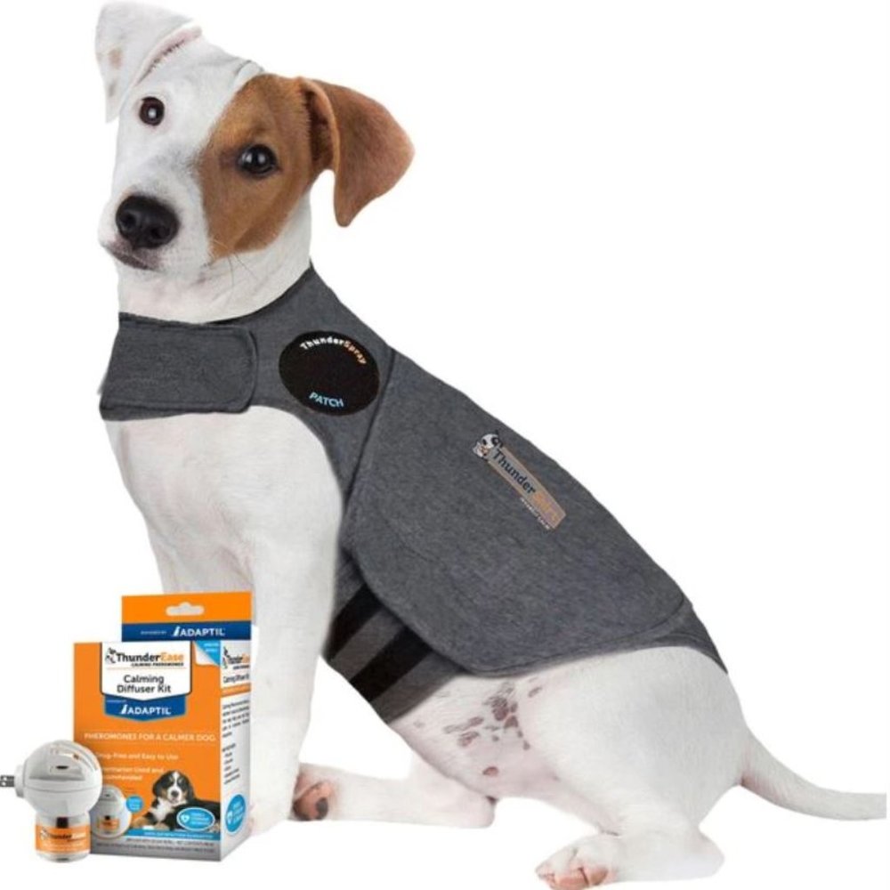 Thundershirt for dogs